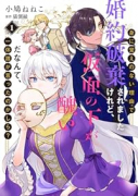 身に覚えのない理由で婚約破棄されましたけれど、仮面の下が醜いだなんて、一体誰が言ったのかしら？（全4巻）