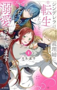 シンデレラの義理姉に転生したけどふたりの王子に溺愛されています（全4巻）