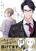 うちの上司は見た目がいい（全4巻）