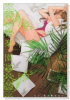楽園 Le Paradis（コミック雑誌）（～48巻）