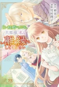 白い結婚から三年。旦那様、私と離縁してください（～1巻）