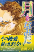月のなみだ