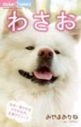 わさお