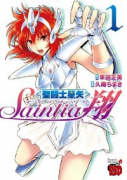 聖闘士星矢 セインティア翔（全16巻）