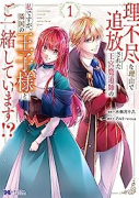 理不尽な理由で追放された王宮魔道師の私ですが、隣国の王子様とご一緒しています！？（～2巻）