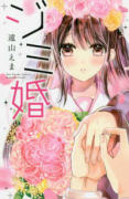 ジミ婚 ジミコン