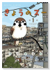 きょうのスー（全3巻）