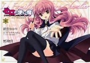 ゼロの使い魔＜第二部＞ シュヴァリエ（全4巻）