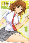 我妻さんは俺のヨメ（全13巻）